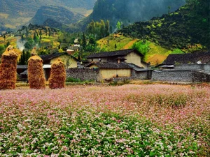 Discover the Most Breathtaking Destinations to Visit During the Enchanting Autumn Season in Vietnam - image 6