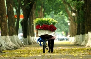 Discover the Most Breathtaking Destinations to Visit During the Enchanting Autumn Season in Vietnam - image 0