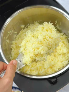 Easy Vegetarian Chicken Rice Recipe Using Only Your Rice Cooker - image 2