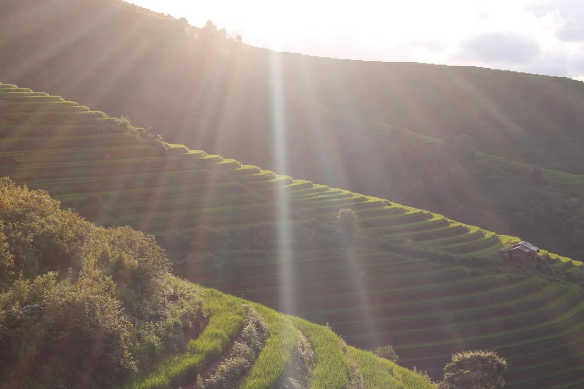 Escaping to Xim Vang: Discovering Northwest Vietnam's Hidden Green Paradise