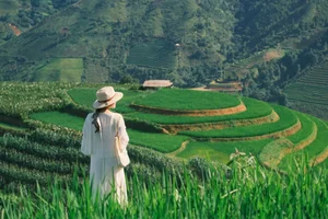 Escaping to Xim Vang: Discovering Northwest Vietnam's Hidden Green Paradise - image 3