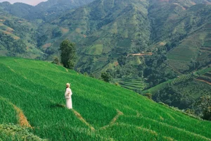 Escaping to Xim Vang: Discovering Northwest Vietnam's Hidden Green Paradise - image 7
