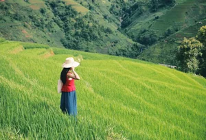 Escaping to Xim Vang: Discovering Northwest Vietnam's Hidden Green Paradise - image 2