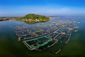 Spring Travel to Thuy Van Mountain Scenic Beauty of Hue - image 4