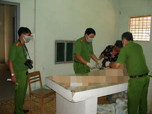 Deciphering the Mystery: The Tragic Case of a Burned Victim in Cam Lam - image 6