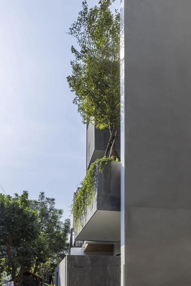 Innovative 3-Story West-Facing House Renovation with Lush Vertical Hanging Gardens in Viet Tri