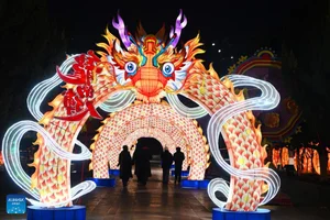 Welcoming the Year of the Snake 2025: Vibrant Celebrations Across China - image 2