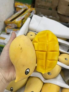 The Fascinating Origin of the Sweet Golden Mangoes Sweeping the Market - image 5