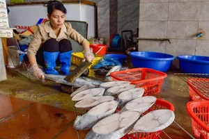 Traditional Vietnamese Grilled Fish: A Nostalgic Tet Holiday Delicacy - image 0