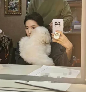 Liu Yifei Side Profile Viral Photo: The Fairy Sister's Timeless Beauty - image 2