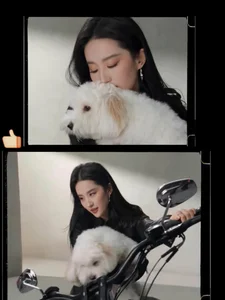 Liu Yifei Side Profile Viral Photo: The Fairy Sister's Timeless Beauty - image 6