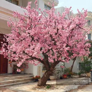 Persimmon Tree: A Symbol of Luck and Prosperity Cherished by Ancestors | 023108 - image 3