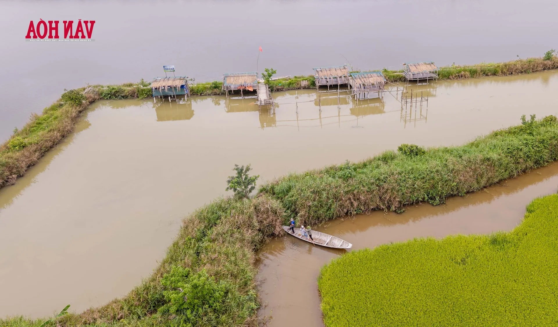 From 'Death Zone' to Sanctuary: The Incredible Restoration of a Bird Paradise