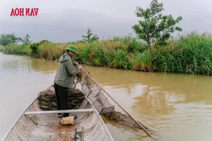 From 'Death Zone' to Sanctuary: The Incredible Restoration of a Bird Paradise - image 0