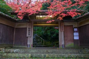 Ultimate Travel Guide: The Most Beautiful Autumn Foliage Spots in Japan - image 1