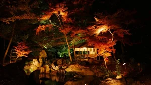 Ultimate Travel Guide: The Most Beautiful Autumn Foliage Spots in Japan - image 2
