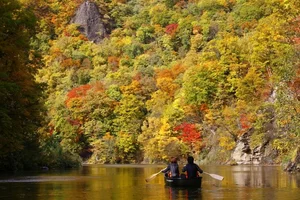 Ultimate Travel Guide: The Most Beautiful Autumn Foliage Spots in Japan - image 3