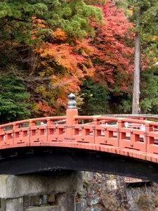 Ultimate Travel Guide: The Most Beautiful Autumn Foliage Spots in Japan - image 5