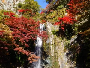 Ultimate Travel Guide: The Most Beautiful Autumn Foliage Spots in Japan - image 4