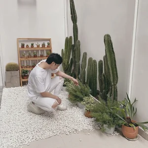 Inside the Real-Life Apartment of Ut Luc Lam Actor - image 3