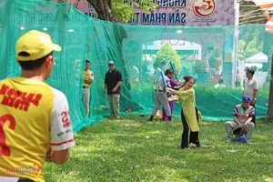 Vietnam-Japan Festival 2024 Strengthens Cultural and Bilateral Ties - image 4