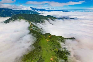 Captivating Beauty of Ta Xua Cloud Paradise in Vietnam - image 0