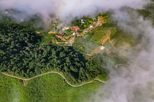 Captivating Beauty of Ta Xua Cloud Paradise in Vietnam - image 5