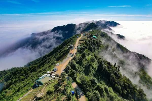 Captivating Beauty of Ta Xua Cloud Paradise in Vietnam - image 7