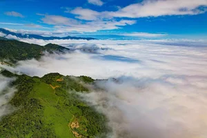 Captivating Beauty of Ta Xua Cloud Paradise in Vietnam - image 1