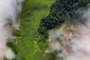 Captivating Beauty of Ta Xua Cloud Paradise in Vietnam - image 4
