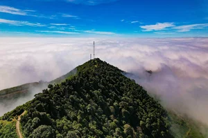 Captivating Beauty of Ta Xua Cloud Paradise in Vietnam - image 3