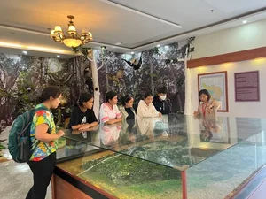 Experiential Learning for Students at the Historic Cat Tien Archaeological Site - image 2