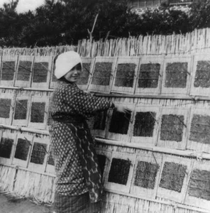 Rare Historical Photos Reveal Daily Life in 1800s Japan - image 10