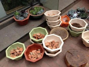 Prevent Root Rot and Boost Flower Growth with This Simple Potting Hack - image 3