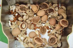 Prevent Root Rot and Boost Flower Growth with This Simple Potting Hack - image 5