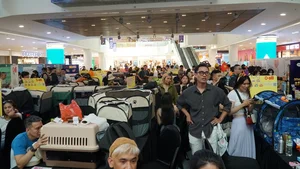 Vietnam’s Largest Cat Show: 100 Elite Pedigrees Compete for Top Honors - image 2