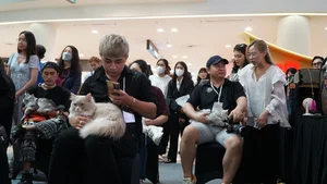 Vietnam’s Largest Cat Show: 100 Elite Pedigrees Compete for Top Honors - image 6