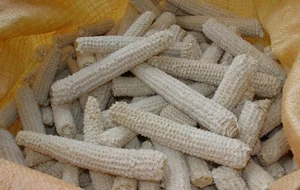 From Agricultural Waste to Premium Specialty: The Rise of High-Value Eco-Foods - image 9