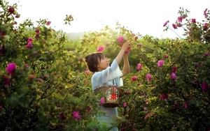 The Return of Li Ziqi: China's Country Fairy Makes a Highly Anticipated Comeback - image 2