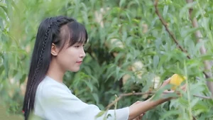 The Return of Li Ziqi: China's Country Fairy Makes a Highly Anticipated Comeback - image 6