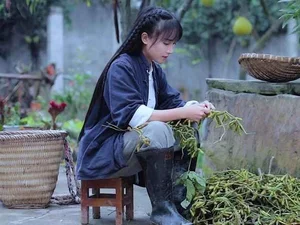The Return of Li Ziqi: China's Country Fairy Makes a Highly Anticipated Comeback - image 3