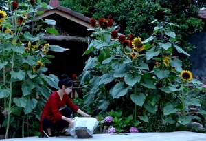 The Return of Li Ziqi: China's Country Fairy Makes a Highly Anticipated Comeback - image 4