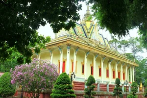 Tra Vinh Travel Guide 2025: Your Complete A-Z Handbook for Vietnam's Green City - image 1