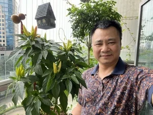 Inside People’s Artist Tu Long’s Traditional Feng Shui Apartment in Hanoi - image 7