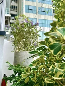 Inside People’s Artist Tu Long’s Traditional Feng Shui Apartment in Hanoi - image 1