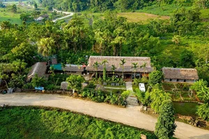 The Ultimate 2024 Phu Tho Travel Guide: Top 5 Must-Visit Destinations and Cultural Highlights - image 6