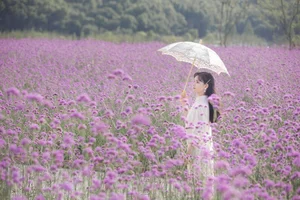 Visual Storytelling: YiTuYu Art Language Vol.4656 Featuring Xiao Ting - image 18