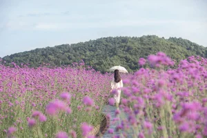 Visual Storytelling: YiTuYu Art Language Vol.4656 Featuring Xiao Ting - image 13