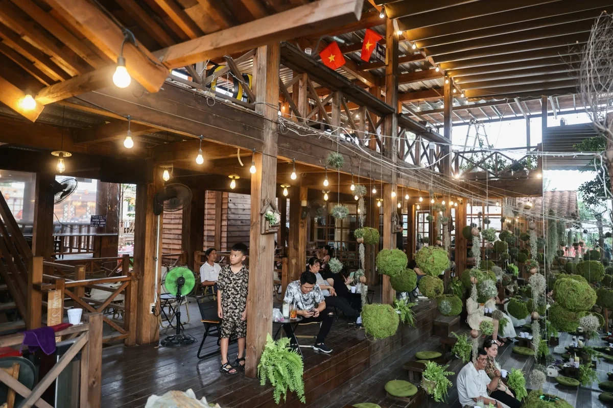 A Garden of Eden Cafe: A Hidden Oasis in Ho Chi Minh City
