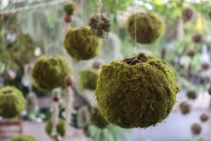 A Garden of Eden Cafe: A Hidden Oasis in Ho Chi Minh City - image 4